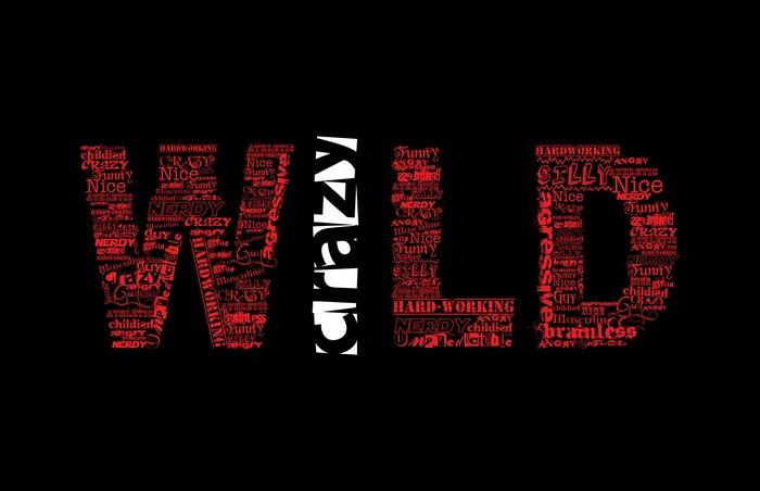 Typography art spelling WILD