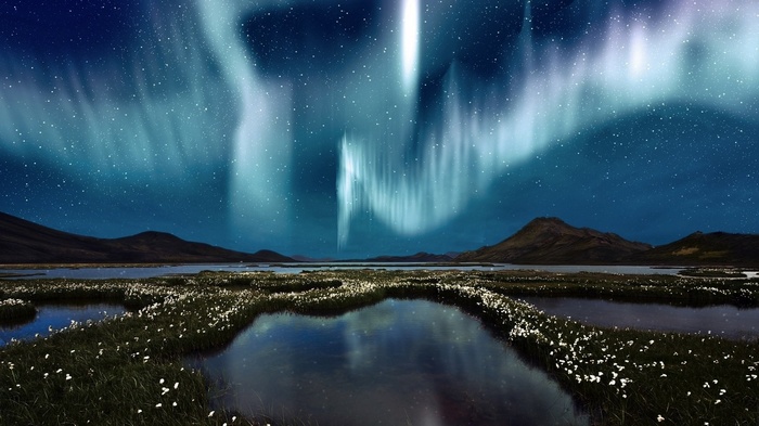 Aurora Borealis over a marshy landscape at night