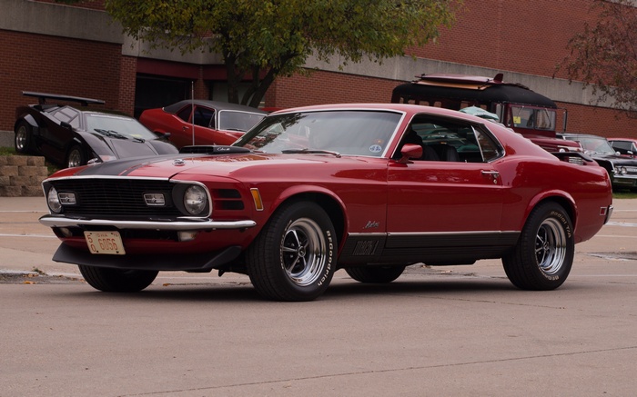 Red Ford Mustang Mach 1 parked outdoors