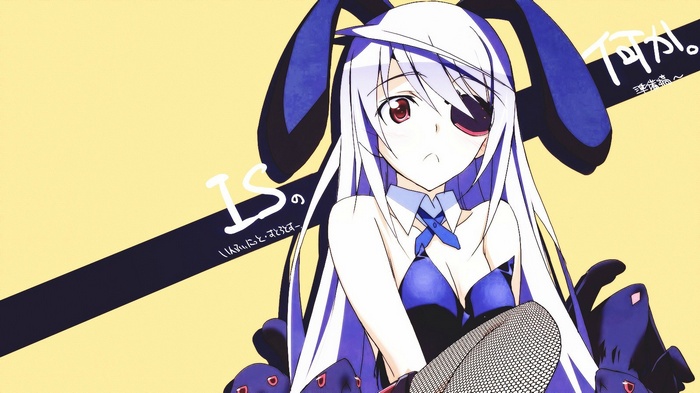 Laura Bodewig in a bunny suit from Infinite Stratos