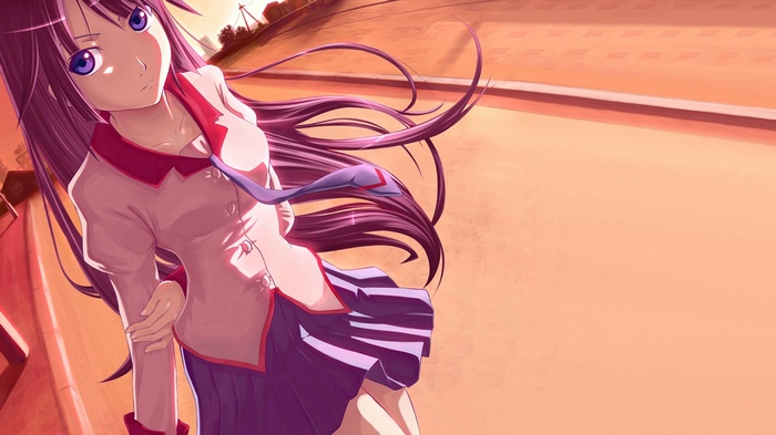 Senjougahara Hitagi from Monogatari Series