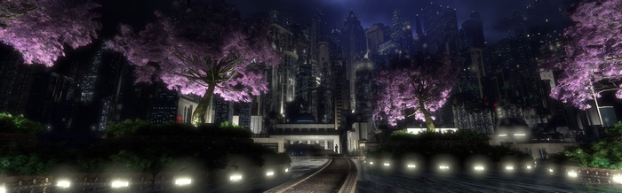 Nighttime cityscape with cherry blossom trees