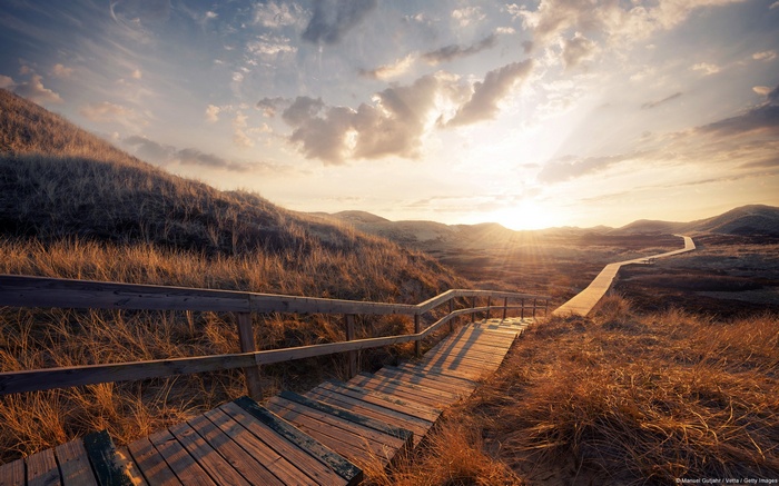 Wooden boardwalk through grassy dunes at sunset