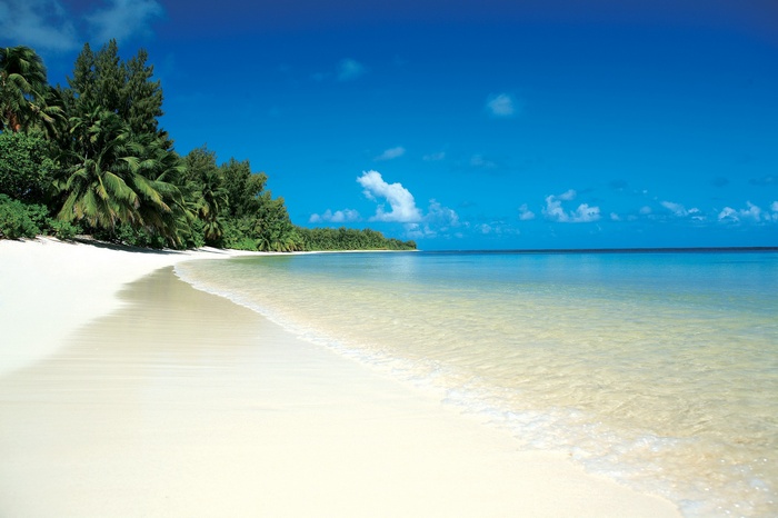 Tropical beach with palm trees and clear blue sea