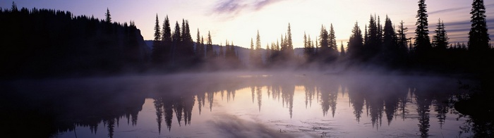 Misty lake with pine trees at sunrise
