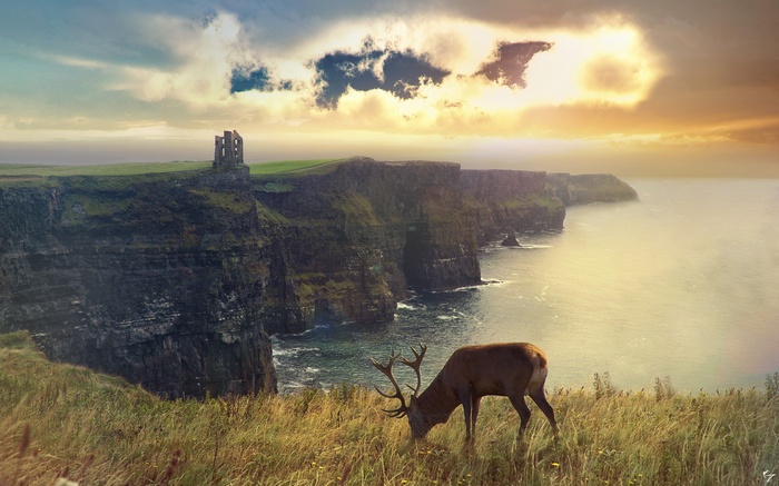 Deer grazing on a cliff overlooking the ocean with ruins