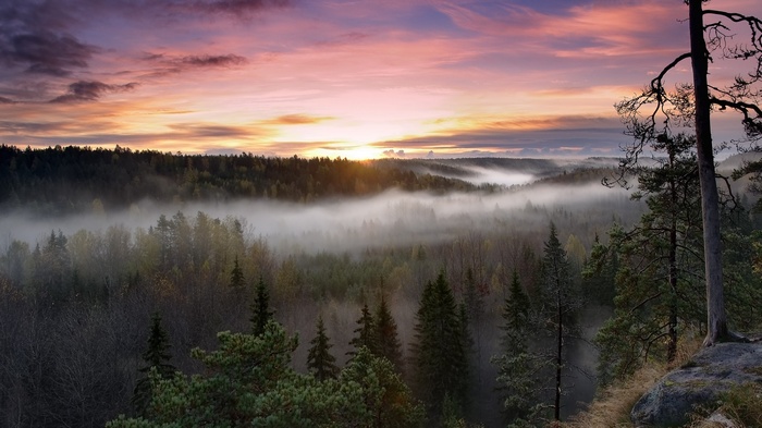 Sunset over misty forest in Nuuksio National Park, Finland