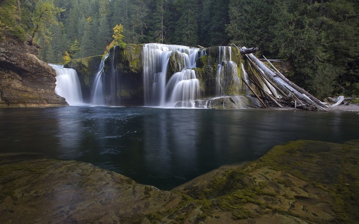Waterfall in a forest with logs