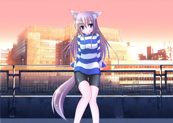 Anime girl with cat ears and tail