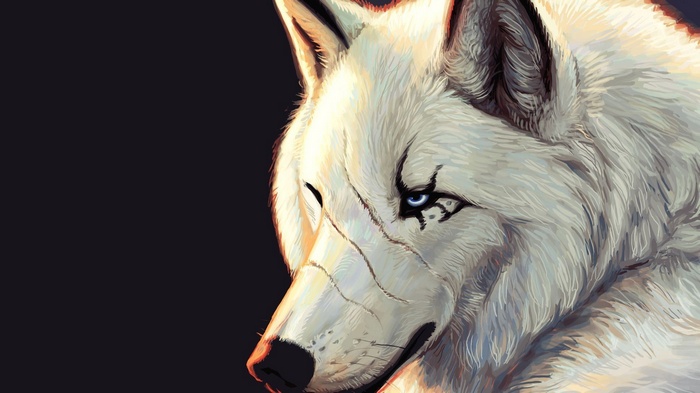 Artwork of a white wolf with blue eyes and scars