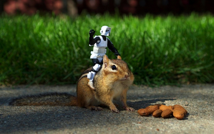 Star Wars Stormtrooper riding a chipmunk