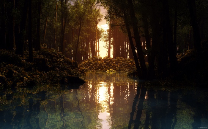 Sunlight filtering through a dense forest onto a calm lake