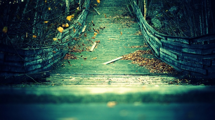 Wooden bridge covered in fallen leaves