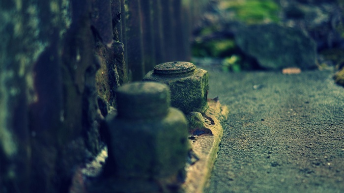 Rusty metal bolts covered in moss