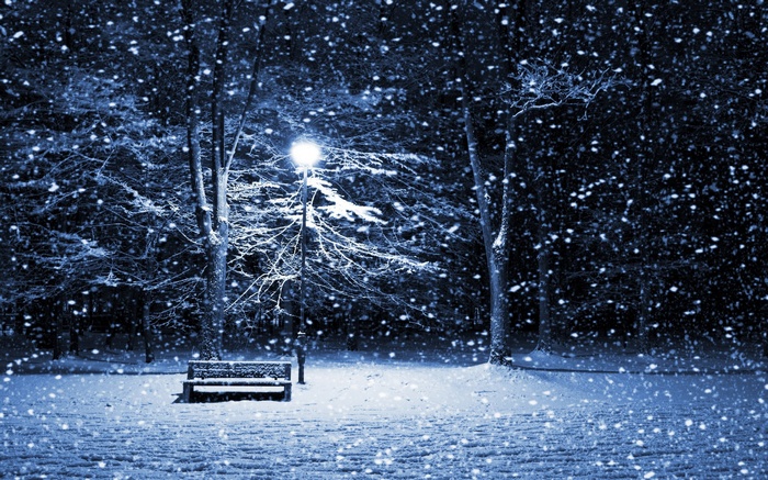 A snowy winter night in a park with a bench and a lamppost