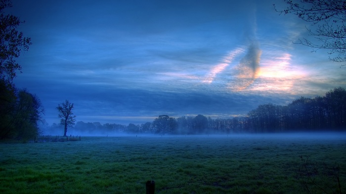Misty landscape with trees and dramatic sky