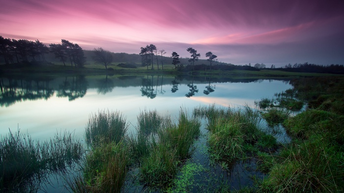 Lake and trees at sunset with pink sky