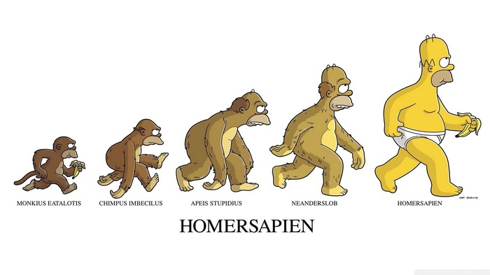 The Simpsons Homer Simpson Evolution