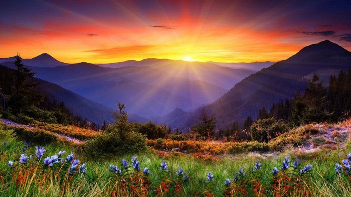 Sunset over mountains with wildflowers