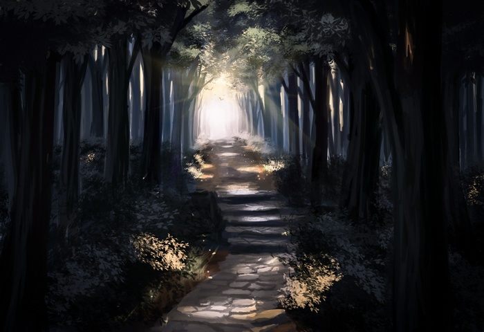 A path through a dark forest with sunlight