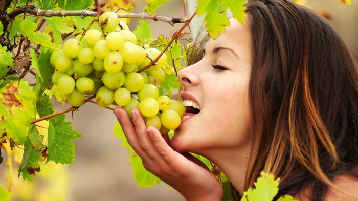 Woman eating grapes from a vine