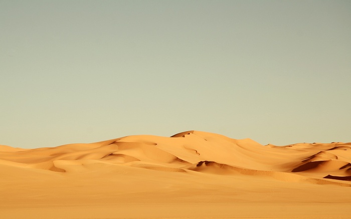 Desert sand dunes under a clear sky