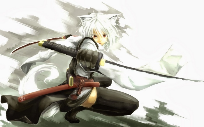 Anime girl with white hair and cat ears holding swords
