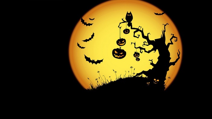 Halloween night with bats and pumpkins