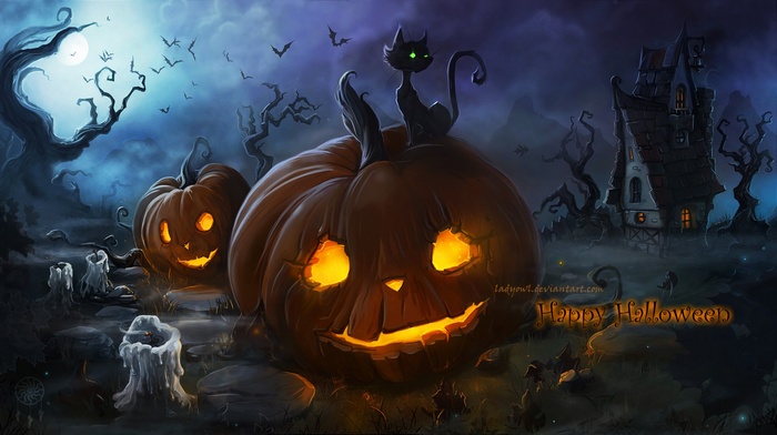 Spooky Halloween night with pumpkins and a black cat