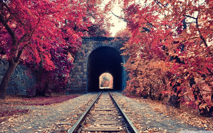 tunnel, trees, fall, railway, Armenia