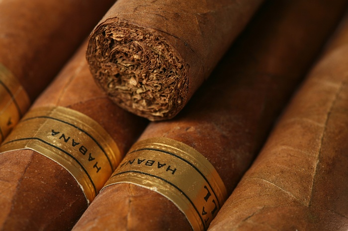Close-up of Habano cigars