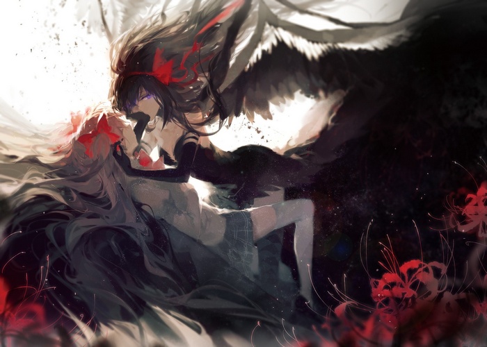 Akemi Homura and Kaname Madoka from Mahou Shoujo Madoka Magica