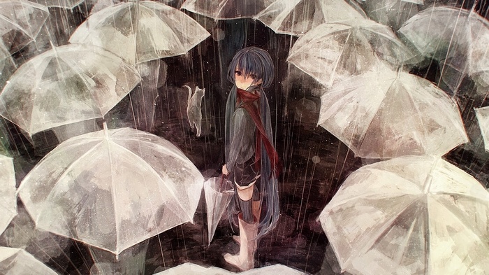 Anime girl and cat in the rain with umbrellas