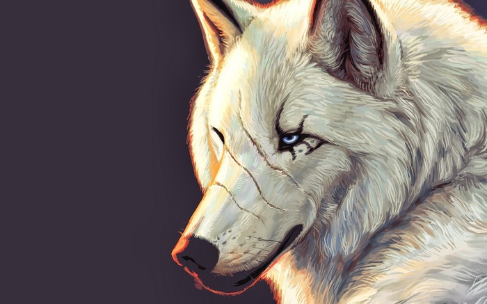 Artwork of a white wolf with blue eyes