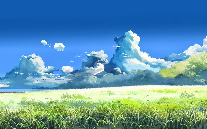 Makoto Shinkai Artwork 5 Centimeters Per Second Field Landscape Clouds Colorful Anime Sky