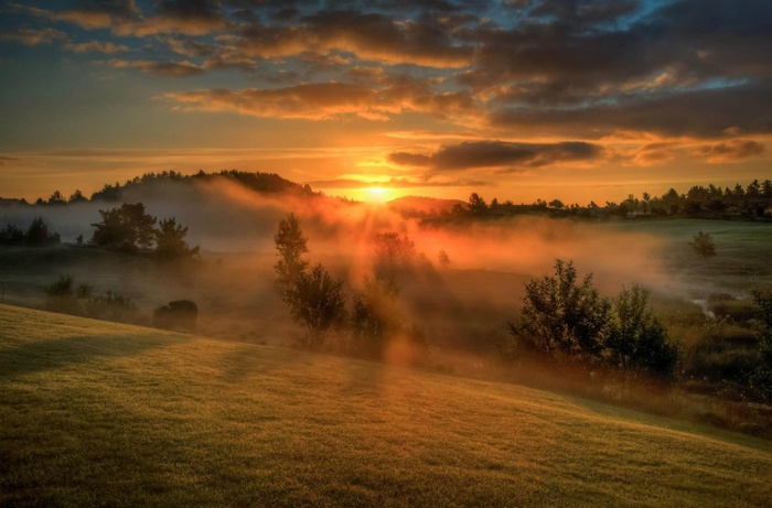 Sunset over misty landscape with trees and clouds