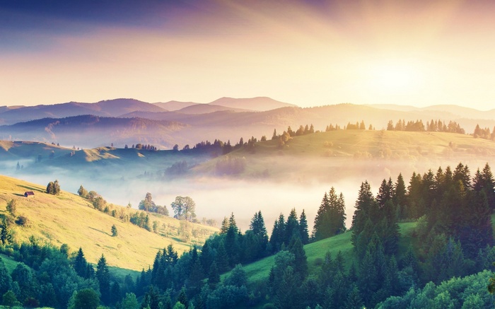 Misty mountain landscape with evergreen forest at sunrise