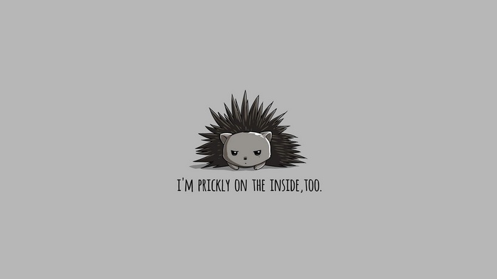 A grumpy hedgehog with the text "I'M PRICKLY ON THE INSIDE, TOO."