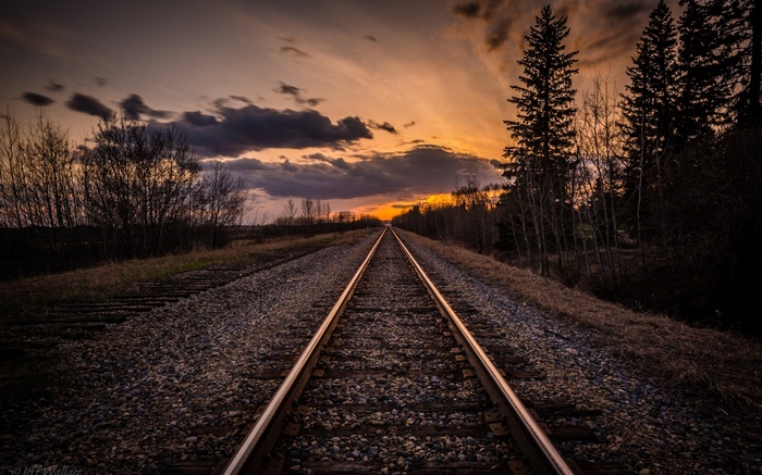 Railway tracks at sunset with trees and clouds