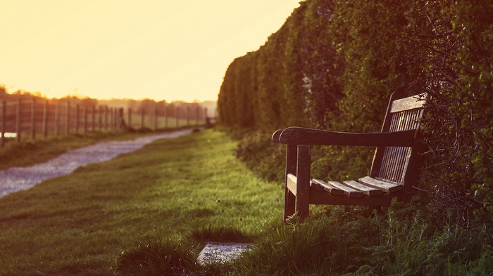 Wooden bench by a hedge with a path and fence