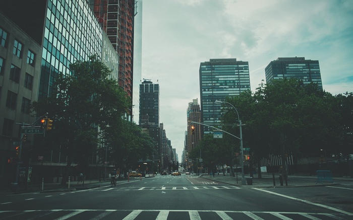New York City Street View with Tall Buildings