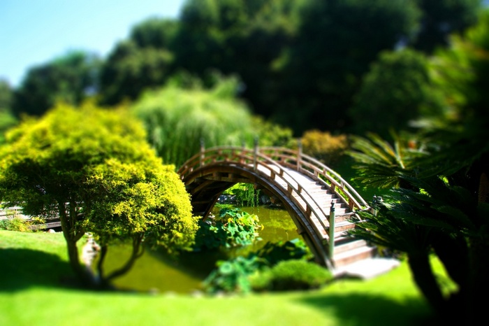 A Japanese garden with a wooden bridge over a pond