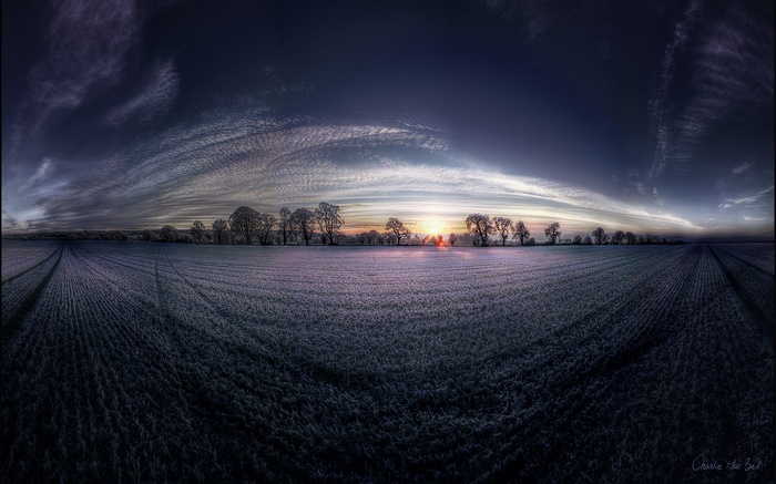 Fisheye lens landscape with trees at sunset