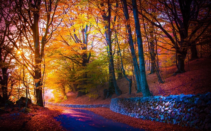 Autumn forest with a road and stone wall