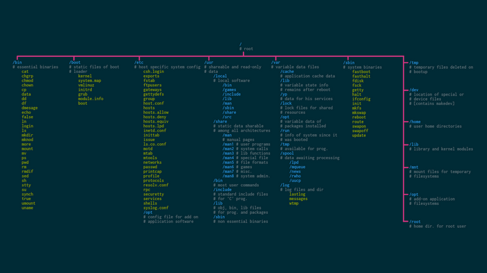 Linux file system directory structure