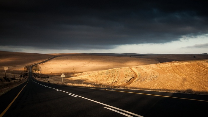 Road through a golden landscape under dark clouds