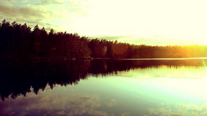 Forest reflected in a lake at sunset
