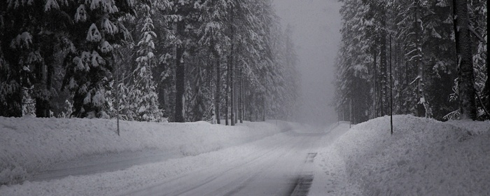 Snowy road through a winter forest