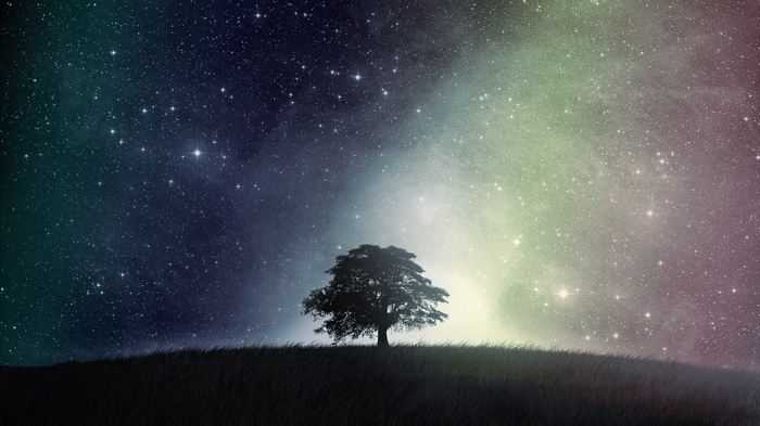 A lone tree under a colorful starry sky