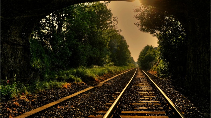 Railway tracks leading through a tunnel and forest